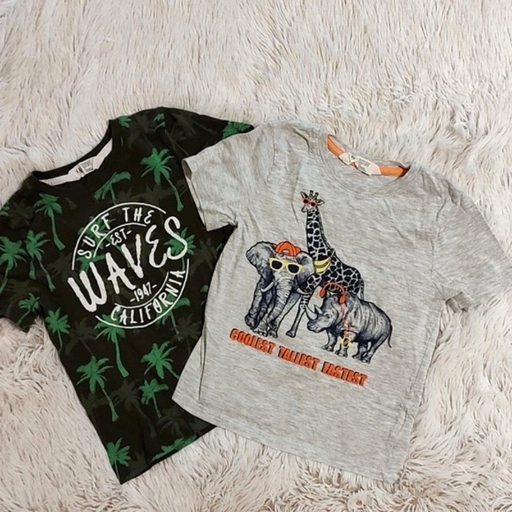 🌴*Lot of 2* H&M Little Boys Short-Sleeve Graphic Tees Green and Gray Size 4-6Y